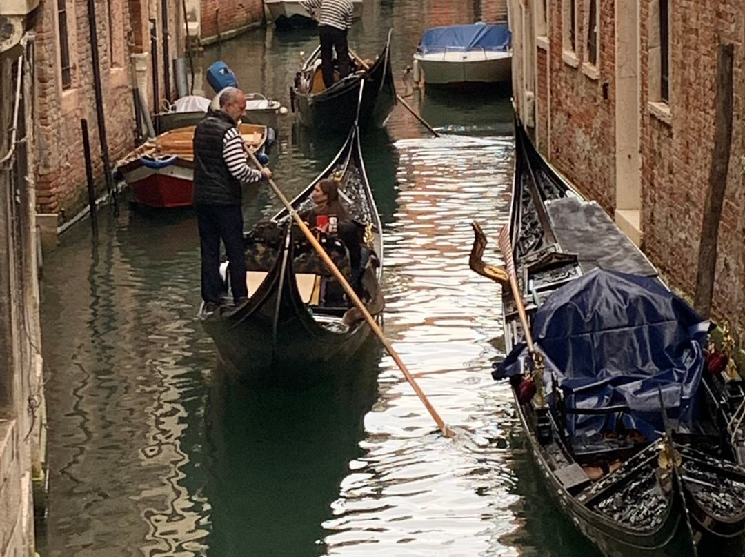 Mercato di Via Fapanni-麦斯特必去景点