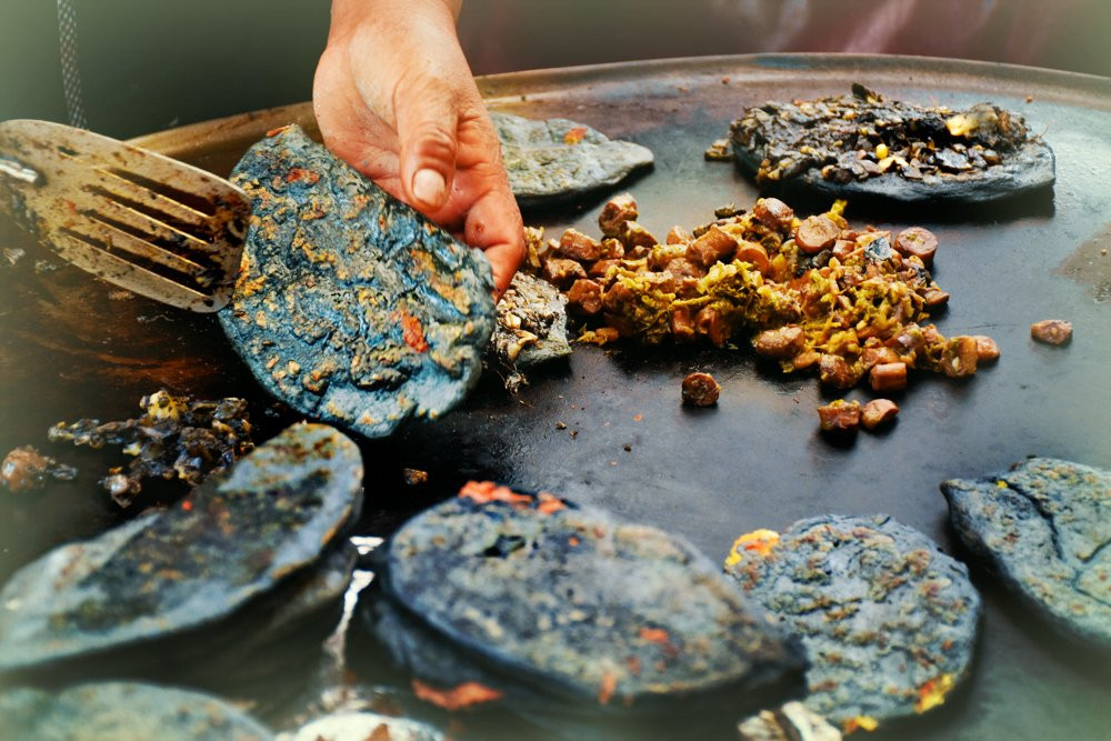 Travelling Herbivore