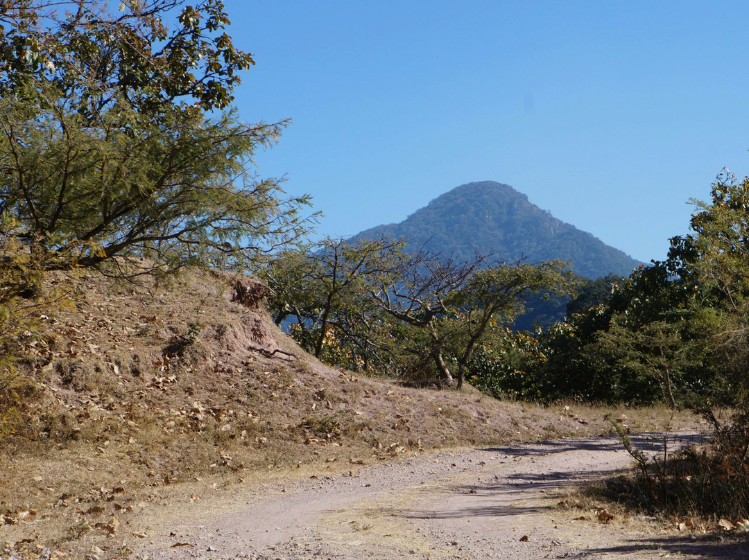 Ahualulco de Mercado旅游攻略图片