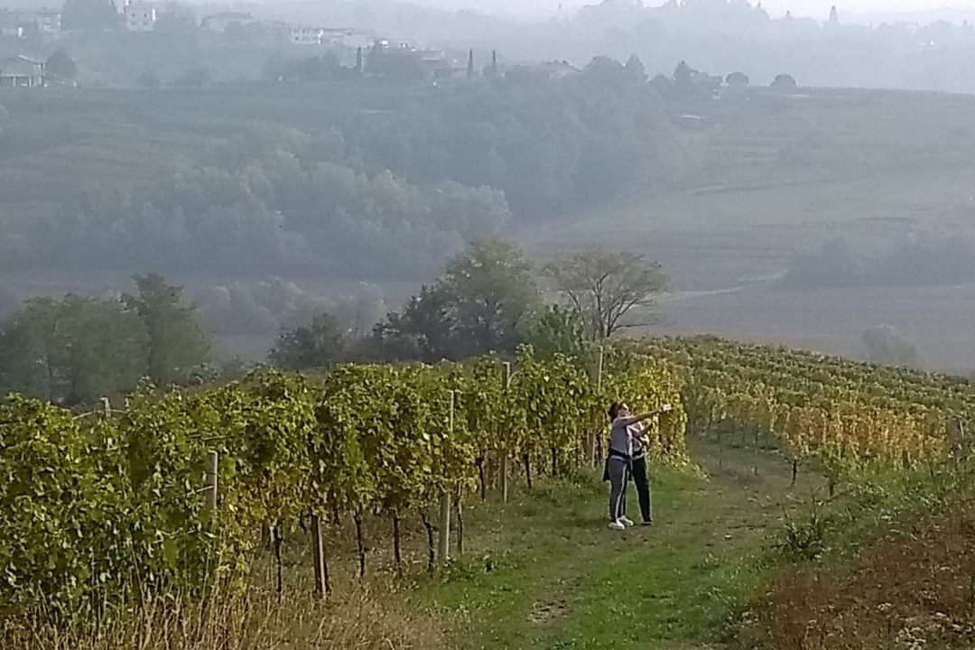 Farm stay Šibav B&B主图