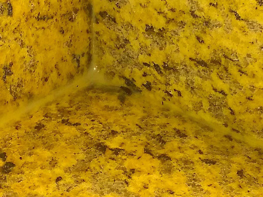 Sam's Town Hotel & Gambling Hall主图