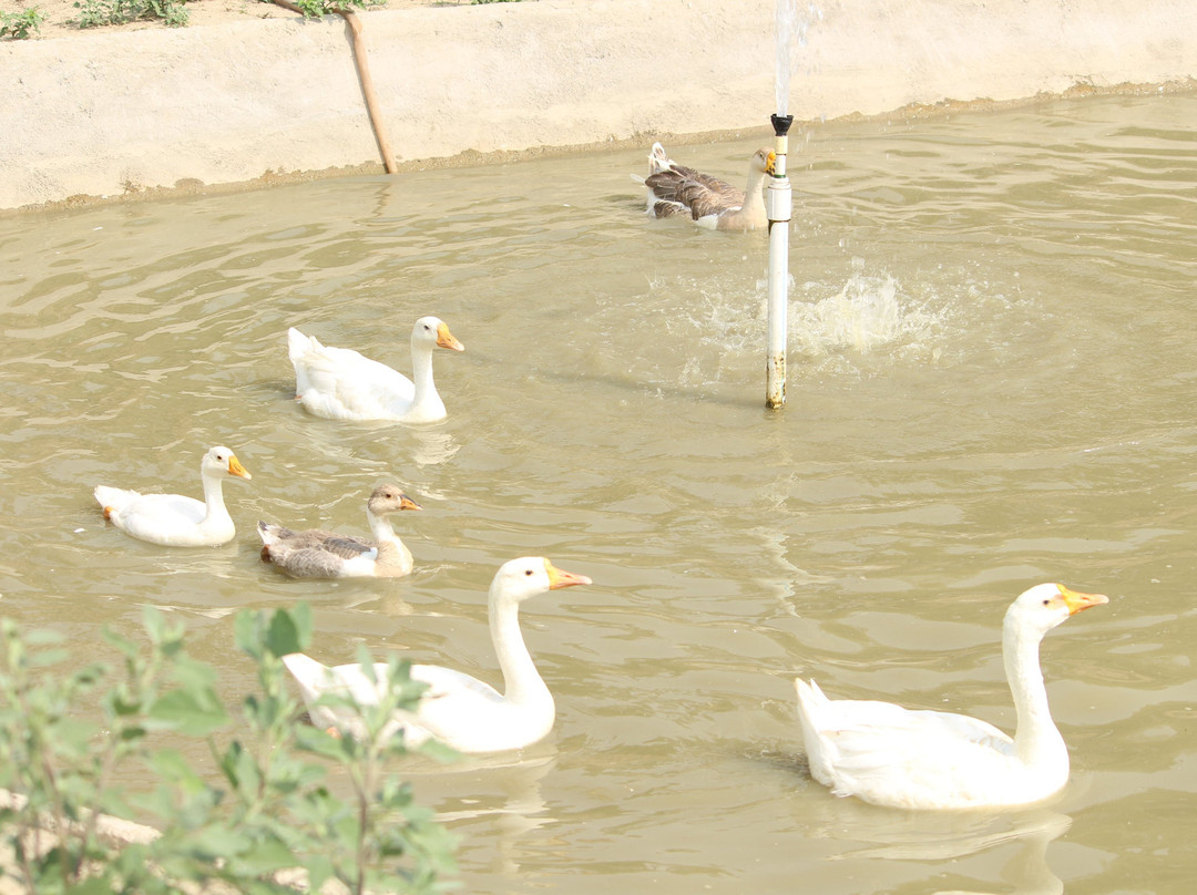 Rewild Life Biodiversity Farms景点图片