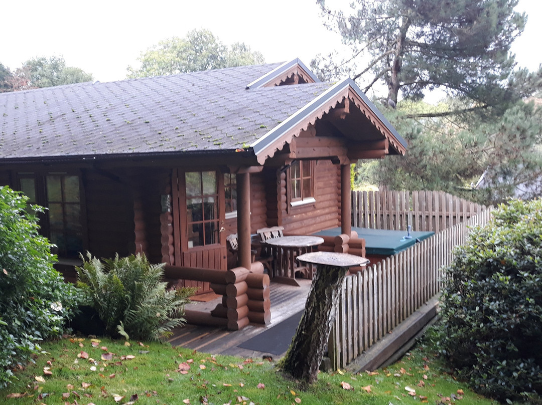 Aymestrey Lodges