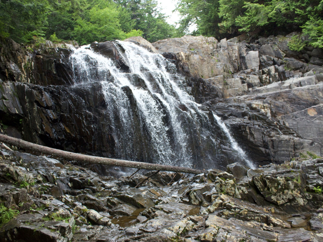 Houston Brook Falls景点图片