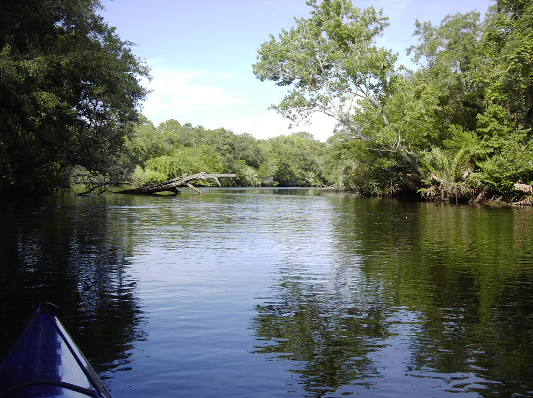 South River Outfitters-斯图尔特必去景点