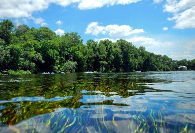 Rainbow River Kayak Adventures-Dunnellon必去景点