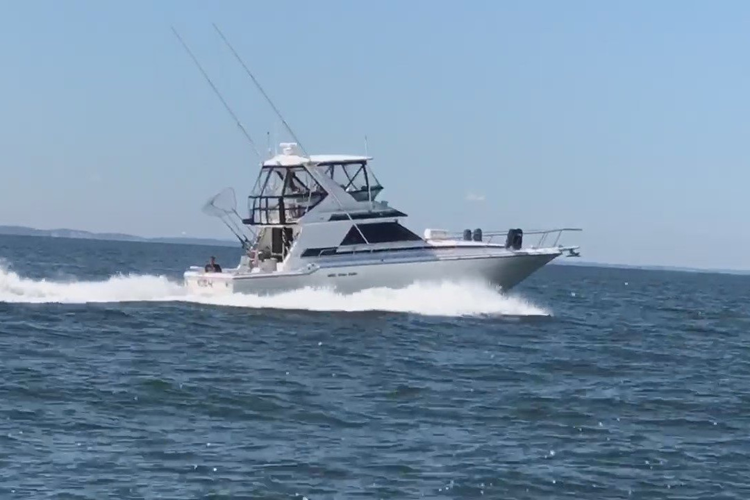 Eden Charters-旧塞布鲁克必去景点