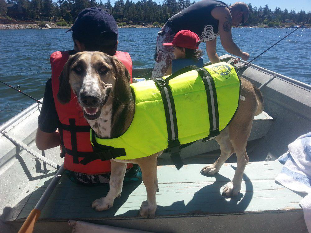 Pleasure Point Marina - Boat Rentals-大熊湖必去景点