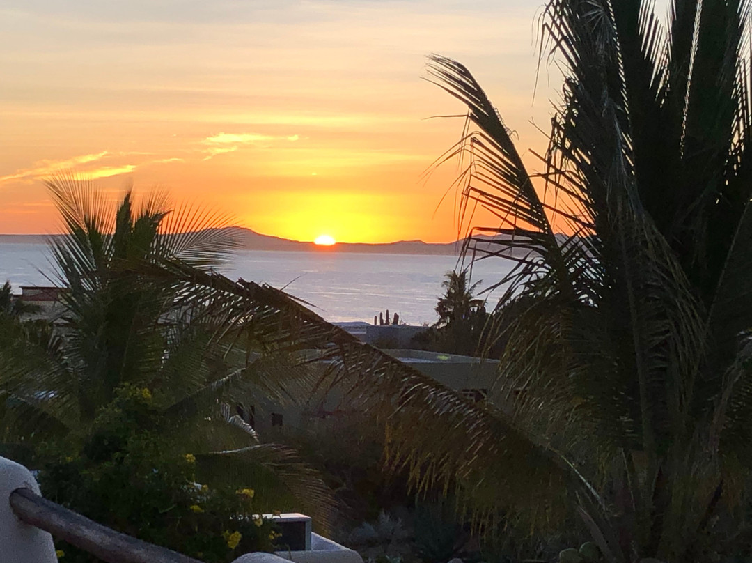 Pelican Reef Ventana Beachfront Community主图