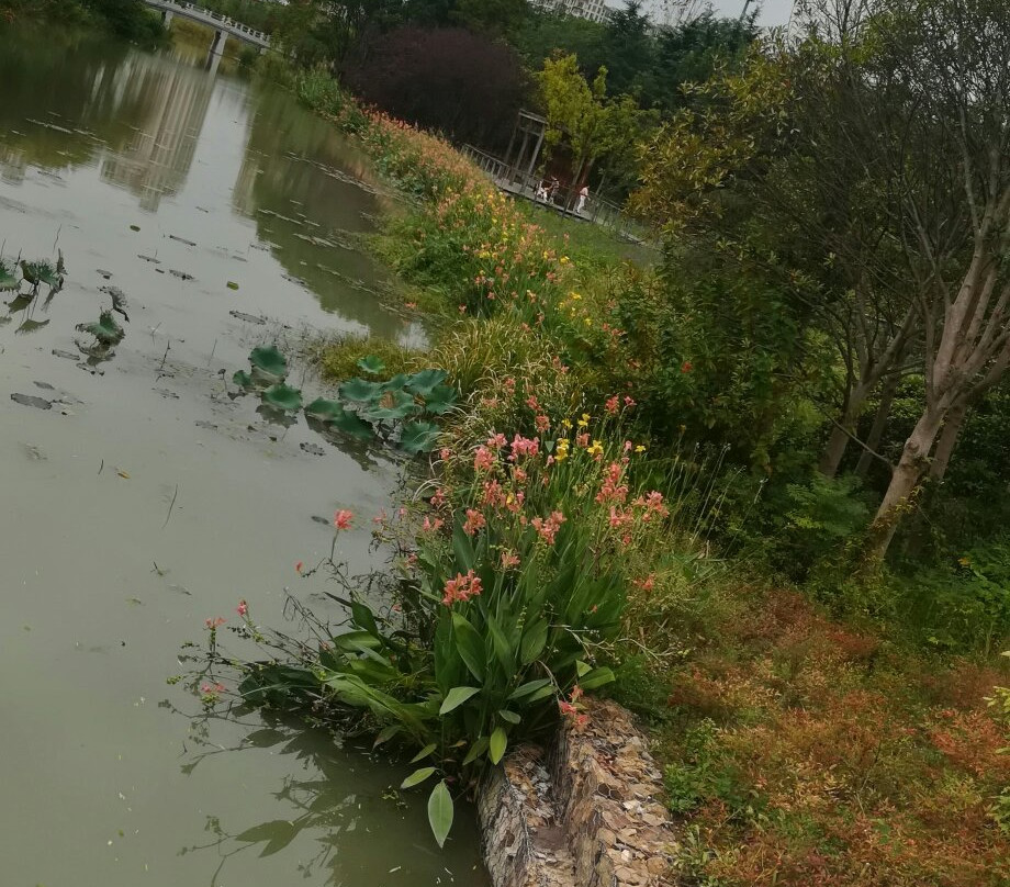 昆山森林公园-昆山市必去景点