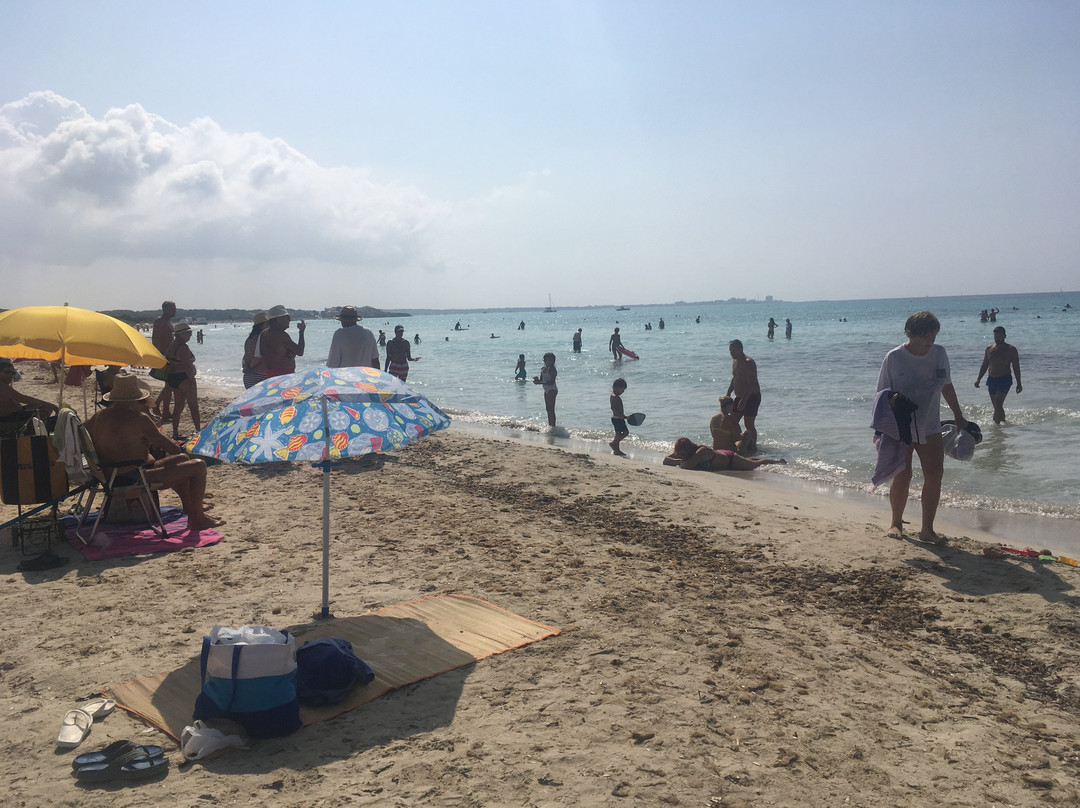 Playa de Sa Rapita-Campos必去景点