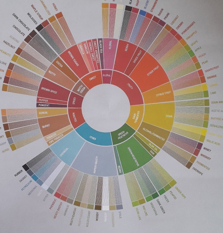 Cafe Jaguar-Silvania必去景点