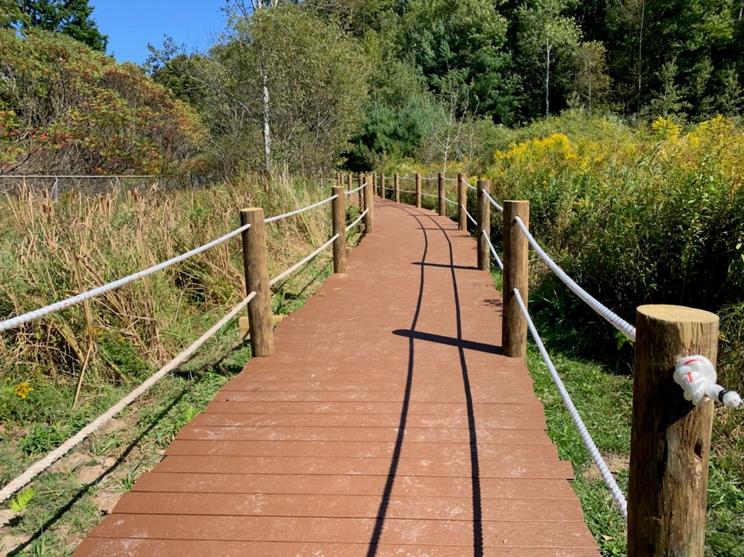 Robert W. Nichol Nature Preserve & Science Center景点图片