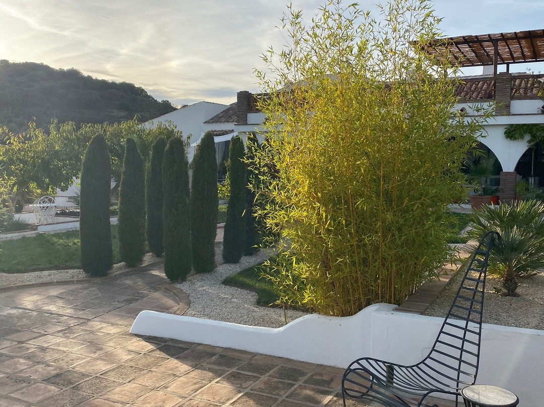 Finca Los Pinos主图