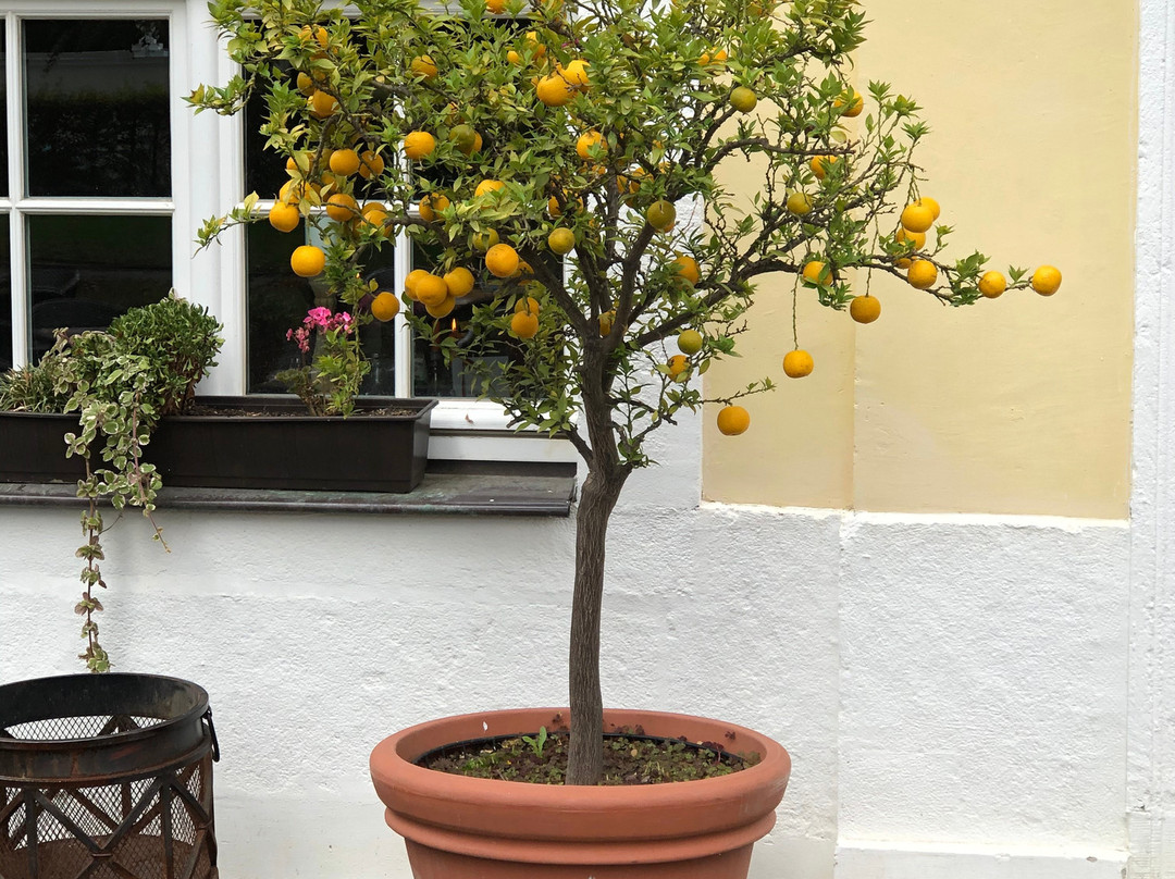 Gohliser Schloesschen-莱比锡必去景点