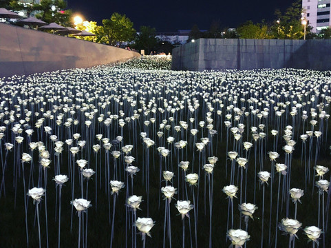 斗塔购物中心-首尔必去景点