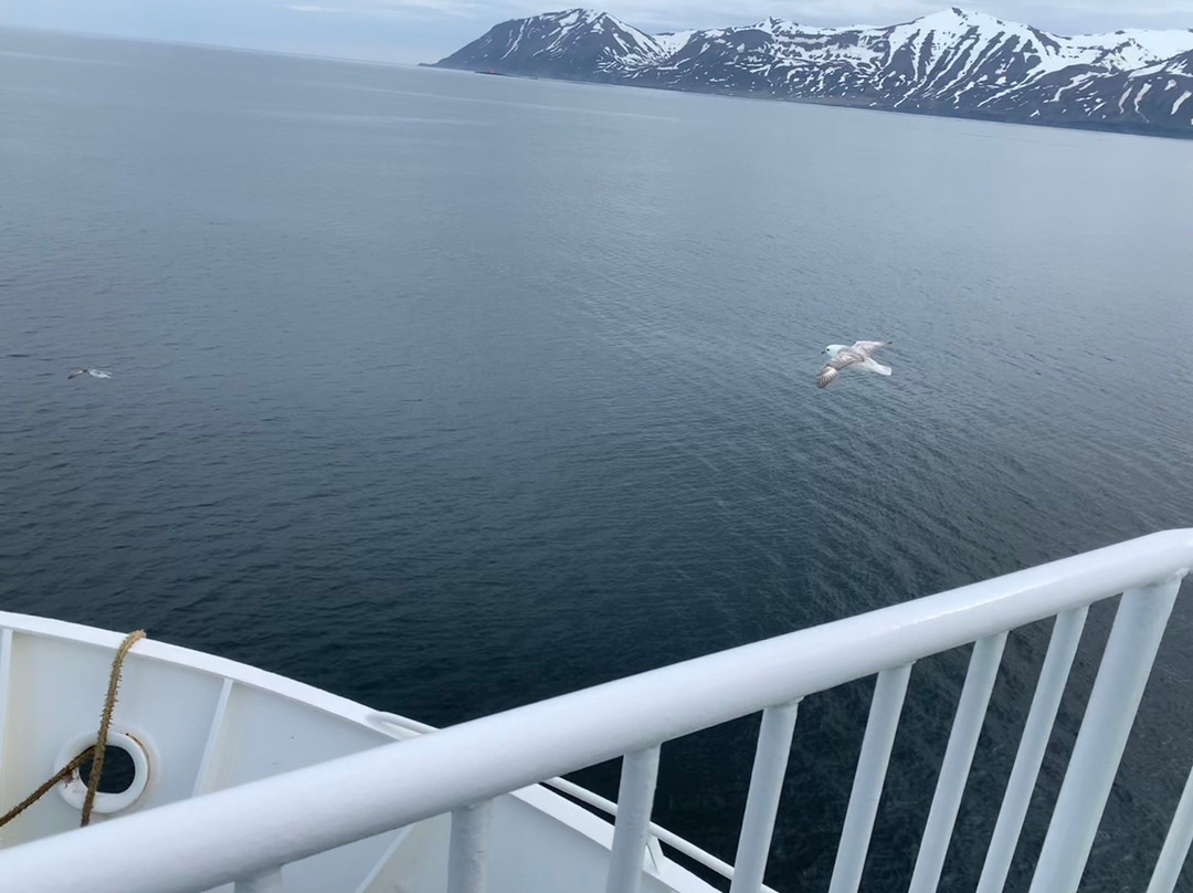 Saefari-Dalvik必去景点