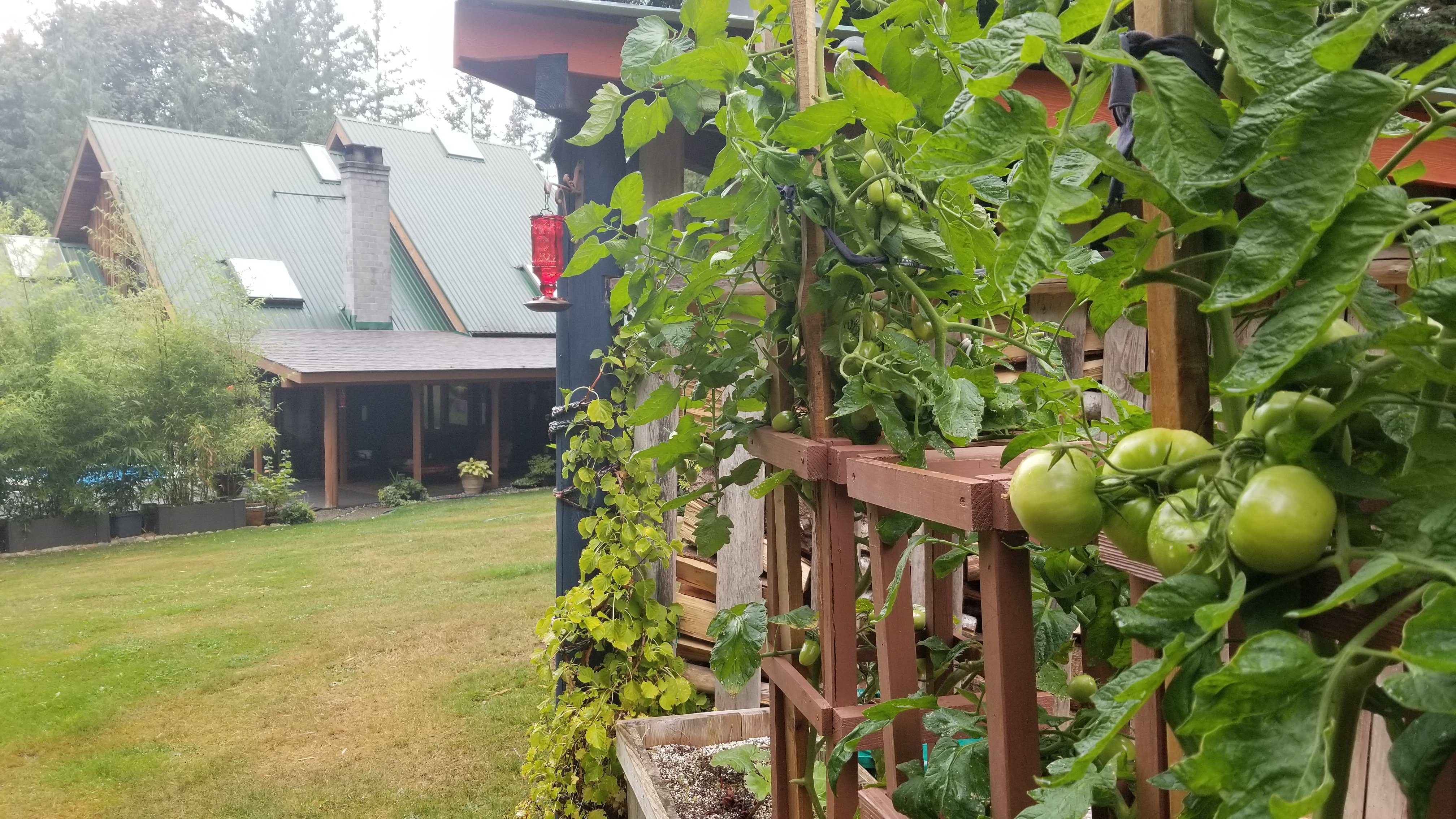 Malaspina Bed and Breakfast-浴室