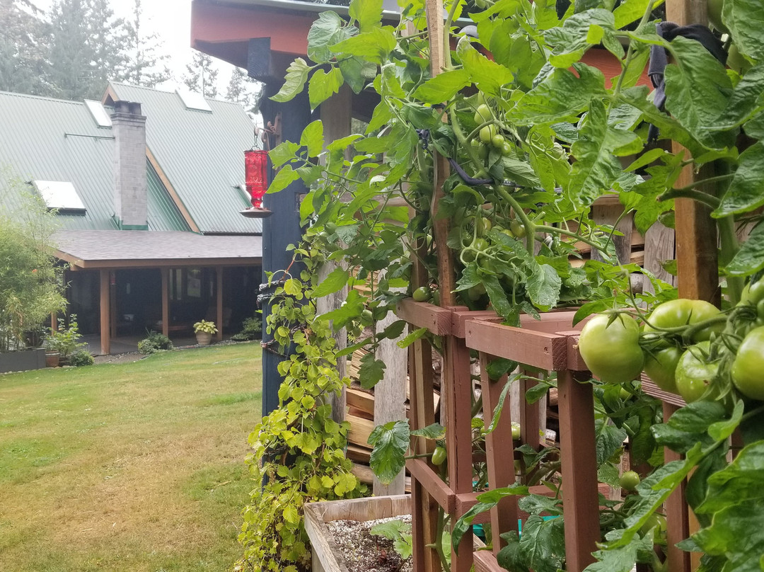 Malaspina Bed and Breakfast主图