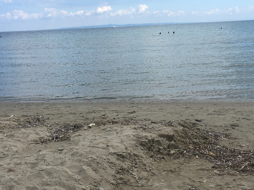 Gaidaros Beach-提斯里菲必去景点