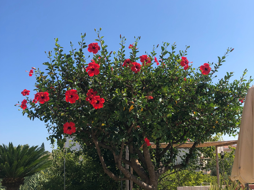 Jechrina Hotel主图