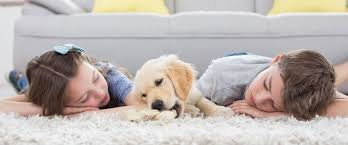 Craigieburn旅游攻略图片