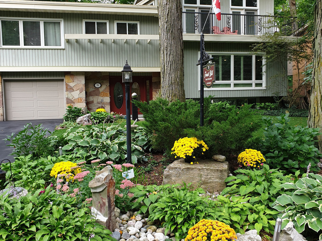 Forest Hill Bed and Breakfast主图