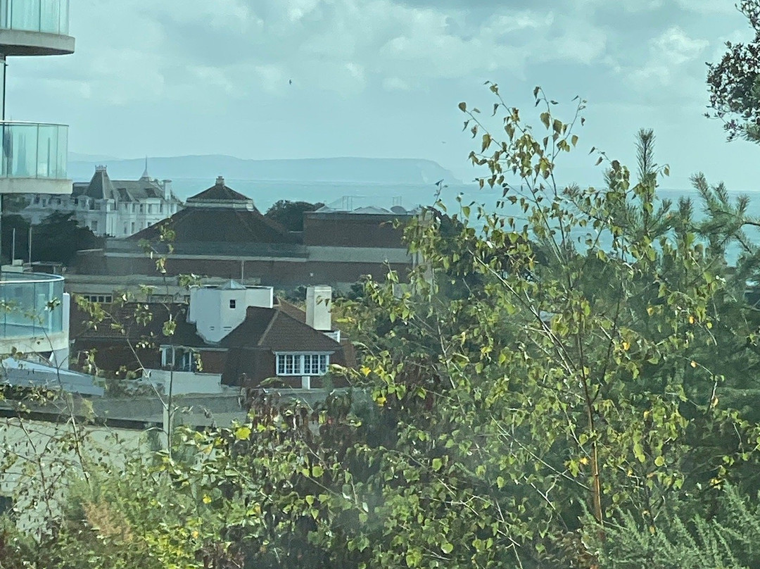 The Polar Bear on the Isle of Wight-伯恩茅斯必去景点