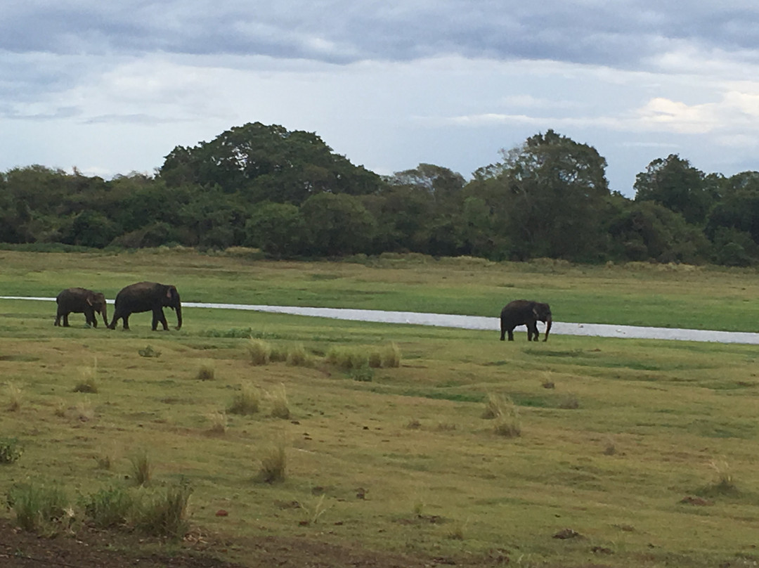 湖泊公园酒店主图