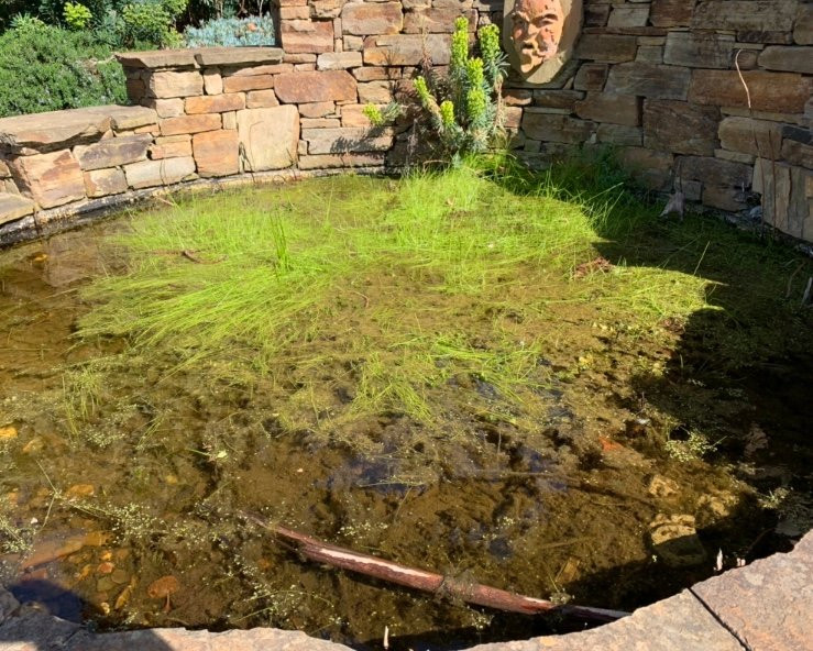 Heronswood-Dromana必去景点