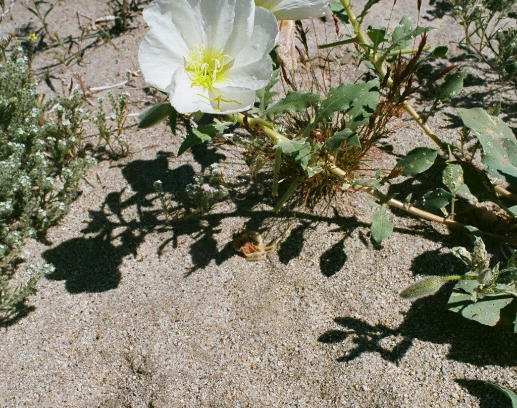 Hellhole Canyon Trail-波瑞戈泉必去景点