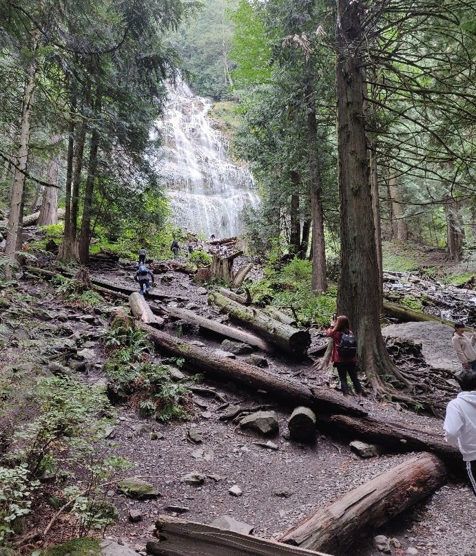 Bridal Falls Water Park景点图片