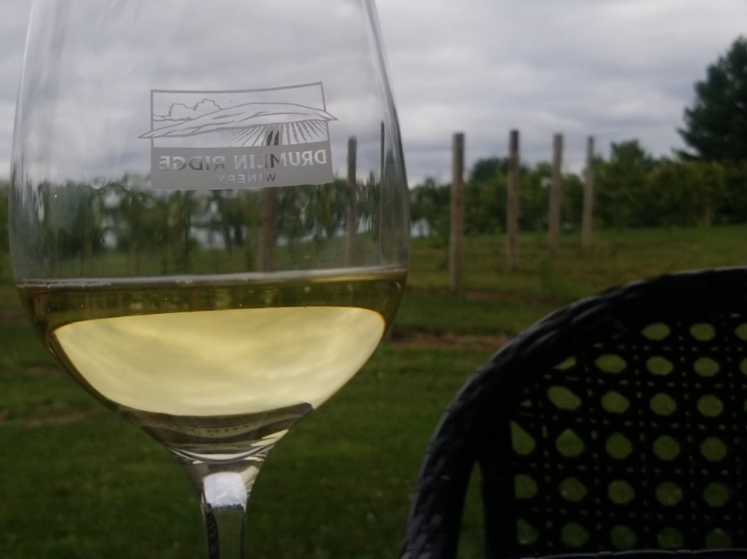 Drumlin Ridge Winery-Waunakee必去景点