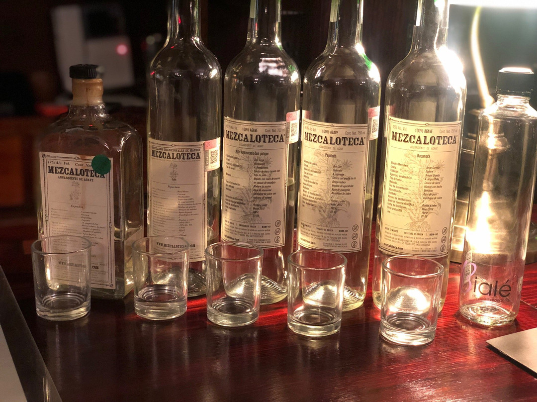 Mezcaloteca-瓦哈卡必去景点