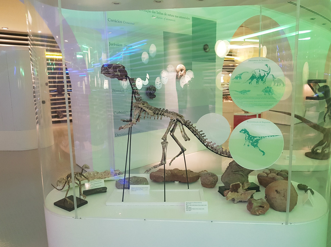 Museu de História Natural-辛特拉必去景点