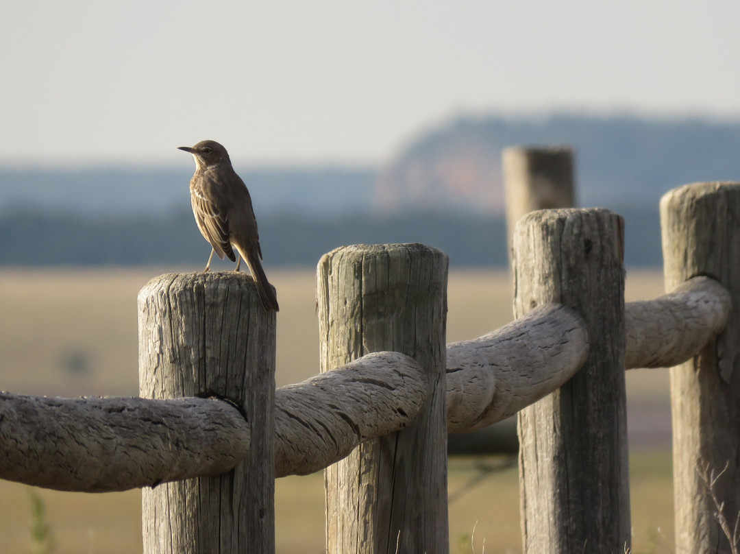 Las Vegas National Wildlife Refuge景点图片