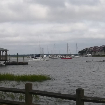 Charleston SUP Safaris-福利比奇必去景点