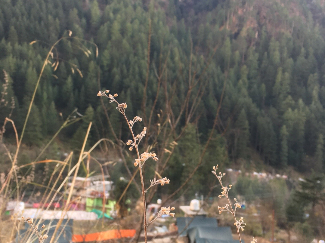 Hot Springs at Manikaran景点图片