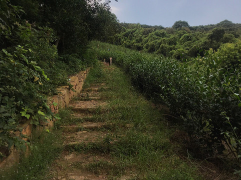东山景区-苏州市必去景点