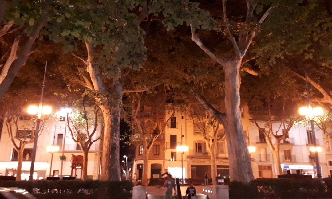 Rambla De Figueres景点图片
