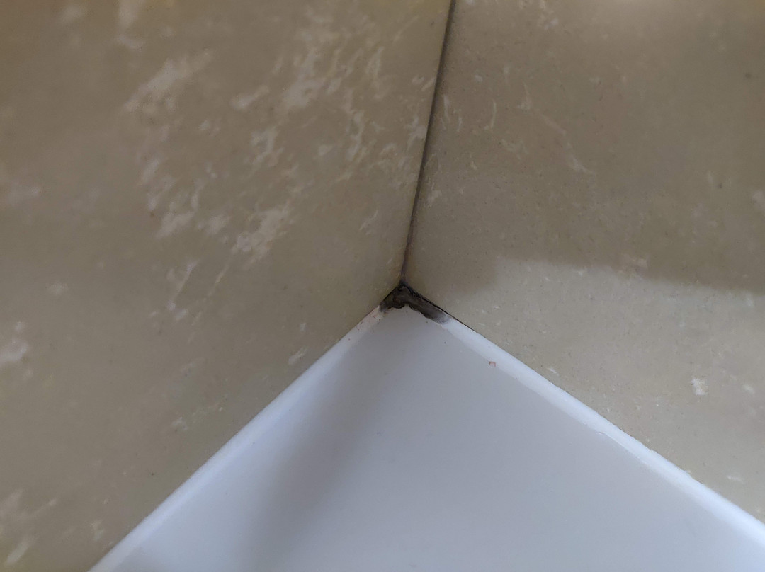 格拉茨帕斯快捷假日酒店主图