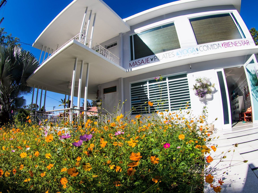 Centro La Paz Yoga & Pilates-吕康必去景点