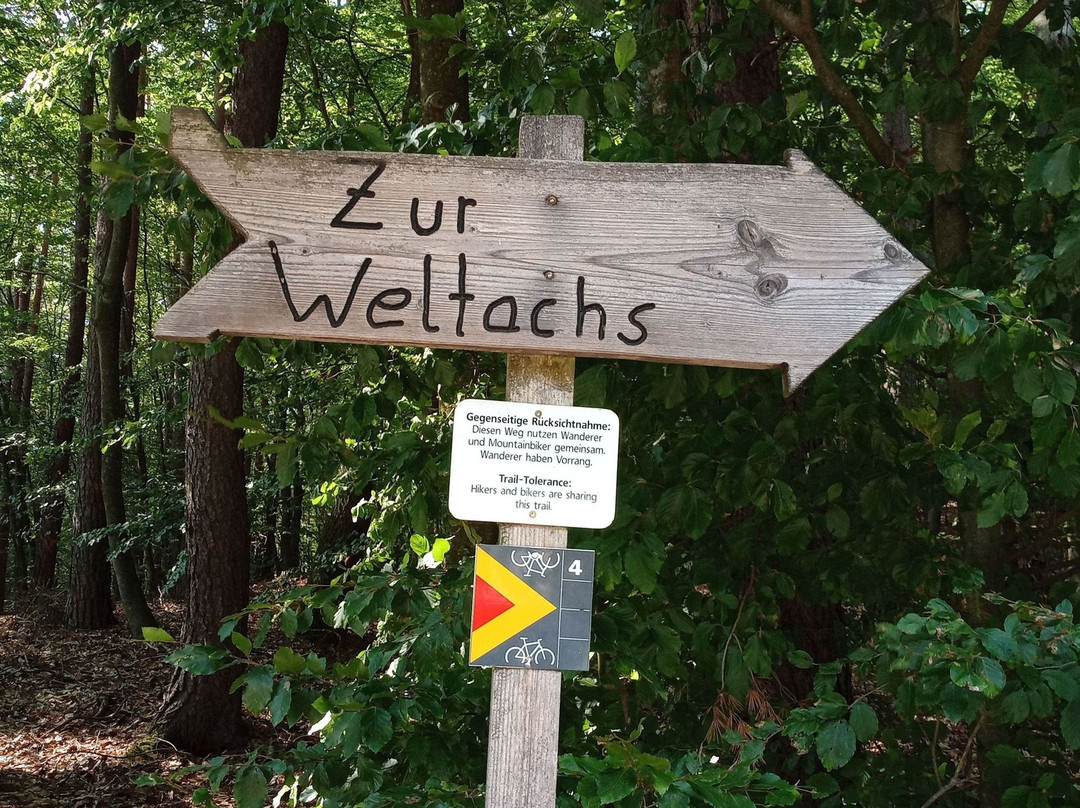 Palzer Weltachs-Hochspeyer必去景点