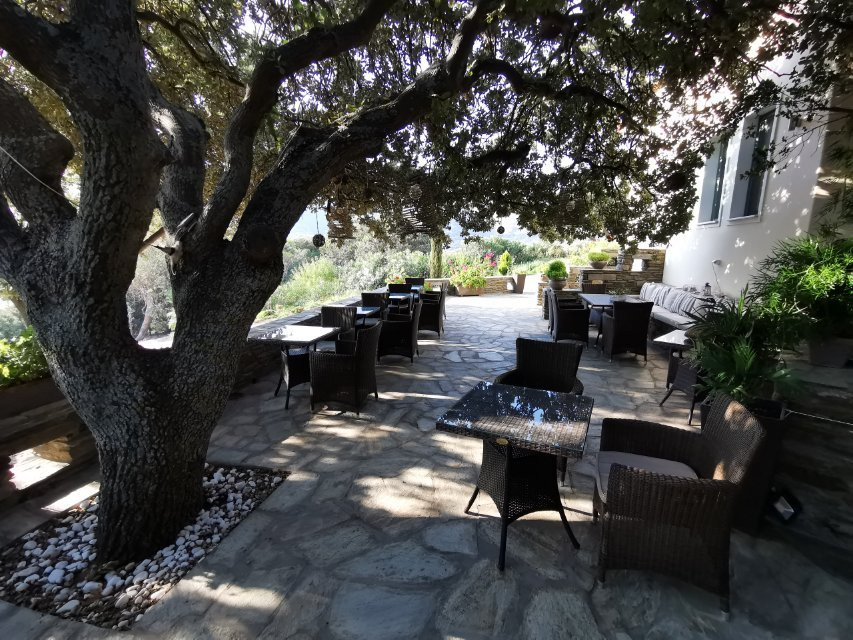 Armonia Resort主图