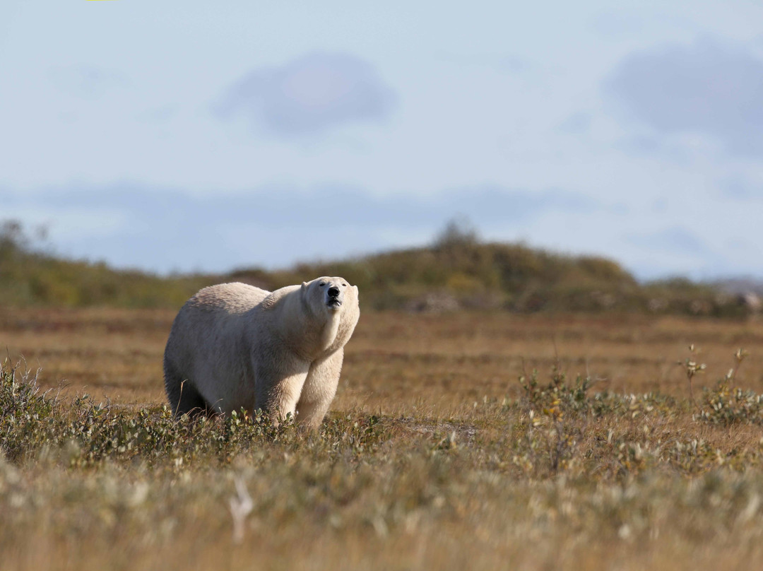 Churchill Hotel & Guesthouse主图