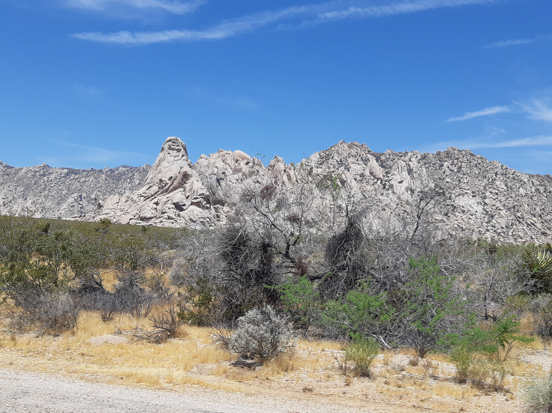 Mojave Desert景点图片