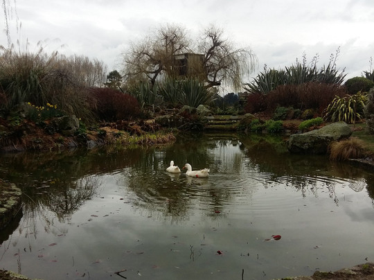 Geraldine Farm Tours-杰拉尔丁必去景点