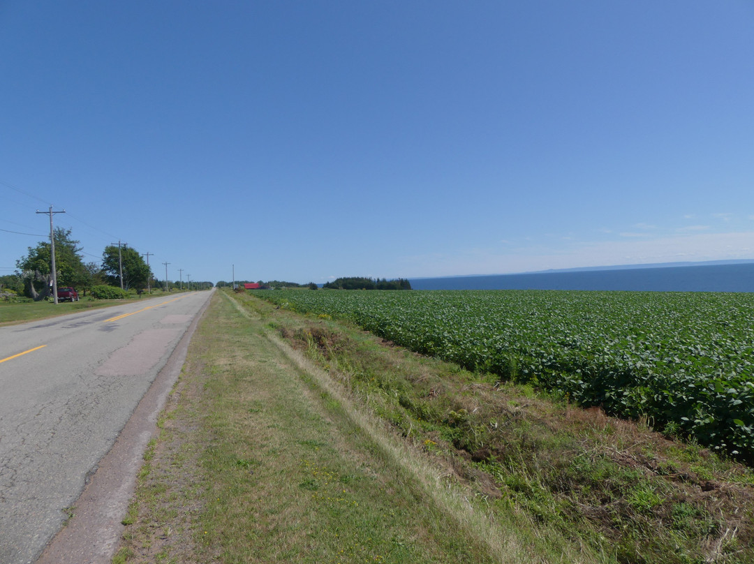 Rossignol Estate Winery-Murray River必去景点