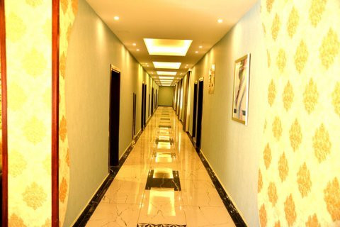 Stars Hotel and Swedish Village主图