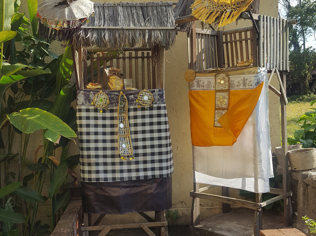 Rice Padi Artha主图